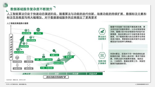 德勤咨询 人工智能基础数据服务白皮书