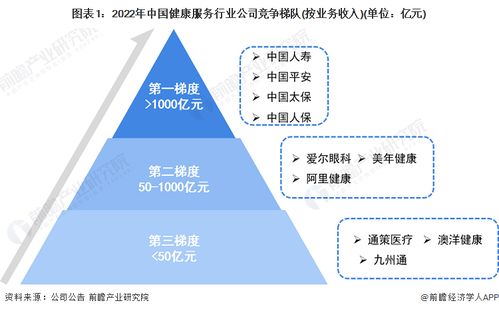 洞察2023 中国健康服务行业竞争格局及市场份额 附市场份额 企业竞争力评价等