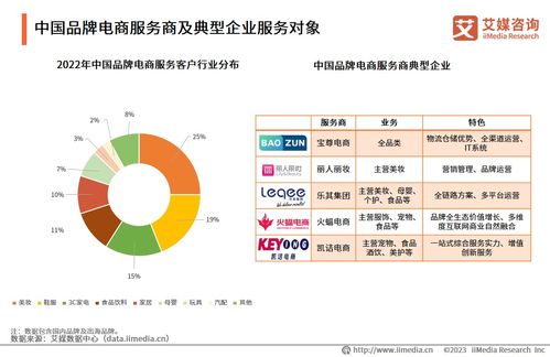 2023年中国品牌电商服务商行业 需求不断增长,服务亟待进一步发展完善